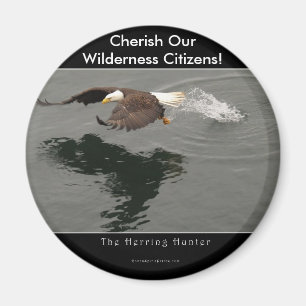 Jacht Kale Eagle Gift Item Magneet