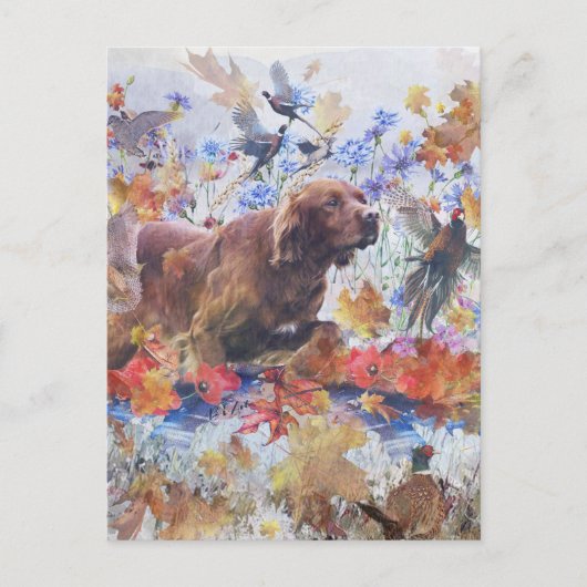 jacht op Irish Setter Briefkaart (Voorkant)