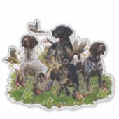 Jachtfazant met SAP-sticker Sticker (Voorkant)