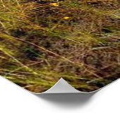 Jachthond in wetlands poster (Hoek)