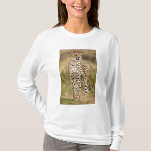 Jachtluipaard, Acinonyx jubatus, in de Masai Mara T-shirt
