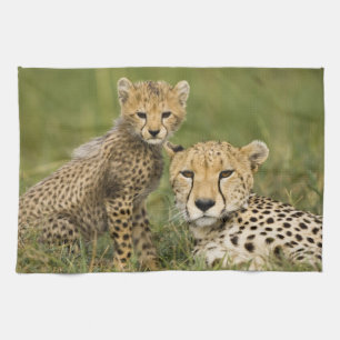 Jachtluipaard, Acinonyx jubatus, met welp Theedoek