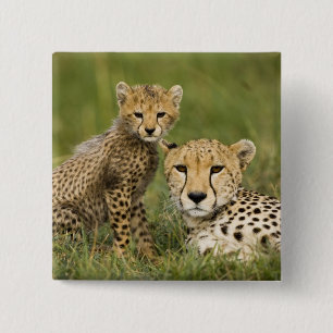 Jachtluipaard, Acinonyx jubatus, met welp Vierkante Button 5,1 Cm