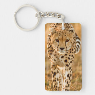 Jachtluipaard (Acinonyx Jubatus) Portret, Maasai Sleutelhanger
