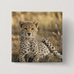 Jachtluipaard, Acinonyx jubatus Vierkante Button 5,1 Cm