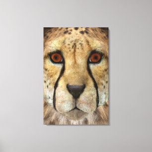 Jachtluipaard Canvas Afdruk