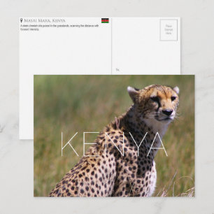 Jachtluipaard in Masai Mara, Kenia Reisansichtkaar Briefkaart