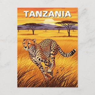 Jachtluipaard in Nationaal Park Serengeti Tanzania Briefkaart