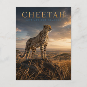 Jachtluipaard Oost-Afrikaanse savanne DIEREN Briefkaart