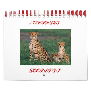 jachtluipaard-welpen, NORPHLET, LUIPAARDEN Kalender