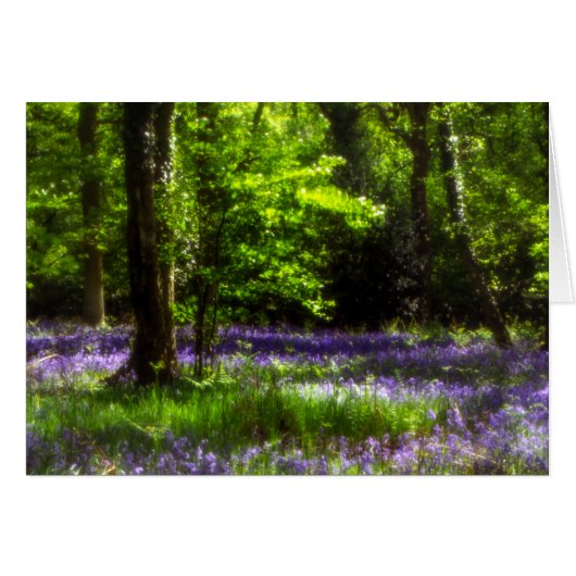 Jacinthes de Chaddesley (Devant horizontal)