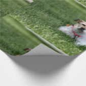 Jack Cadeaupapier (Hoek)