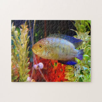 Jack Dempsey Cichlid Puzzle Legpuzzel