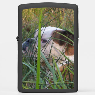 Jack dog zippo lichter