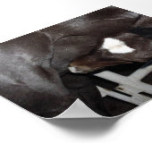 Jack Drink Milk Poster (Hoek)