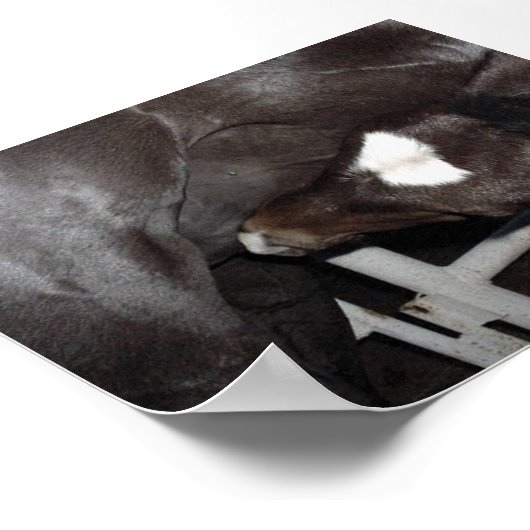 Jack Drink Milk Poster (Hoek)