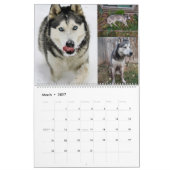 Jack en Jill Kalender (Mar 2027)