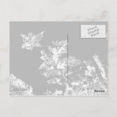 Jack Frost Briefkaart (Achterkant)