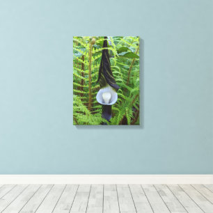 Jack-in-the-Pulpit Woodland Plant Floral Canvas Afdruk