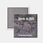 Jack & Jill ~Jackrabbits~ Magneet (Voorkant / Achterkant)