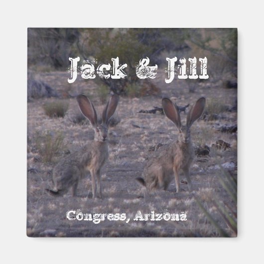 Jack & Jill ~Jackrabbits~ Magneet (Voorkant)