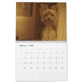 "Jack" le Yorkie - calendrier 2014 (Feb 2026)
