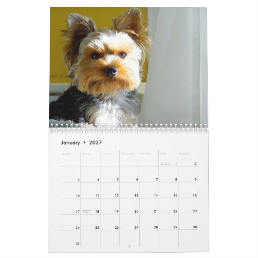 "Jack" le Yorkie - calendrier 2014 (Jan 2027)