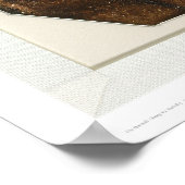 Jack London (40637) Poster (Hoek)