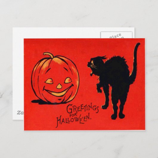 Jack O lantaarn pompoen zwart kat Briefkaart (Voorkant / Achterkant)