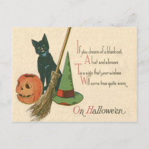 Jack O' Lantern Black Cat Witch's Pet Bezem Briefkaart