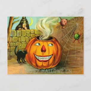 Jack O Lantern Pompoen Zwarte Kat spinnenweb Briefkaart