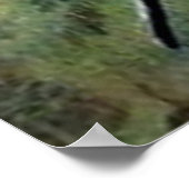 Jack O' Lantern Pumpkin Skeleton begraafplaats Poster (Hoek)