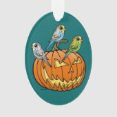 Jack O'Budgies (devant)