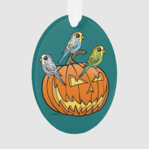 Jack O'Budgies
