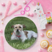 Jack Papieren Bordje (Feest)