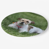 Jack Papieren Bordje (Gekanteld)