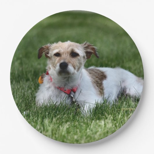 Jack Papieren Bordje (Voorkant)