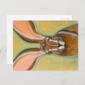 Jack Rabbit Briefkaart (Voorkant / Achterkant)