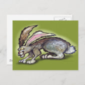 Jack Rabbit Briefkaart (Voorkant / Achterkant)