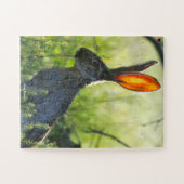 Jack Rabbit Legpuzzel (Horizontaal)