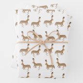 Jack Rabbits Envelopper des feuilles de papier (En situation)