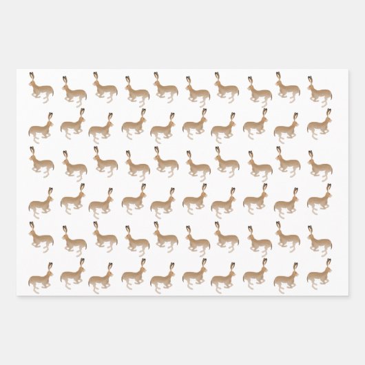 Jack Rabbits Envelopper des feuilles de papier (Devant)