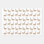 Jack Rabbits Wrapping Paper Sheets (Voorkant 3)