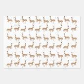 Jack Rabbits Wrapping Paper Sheets (Voorkant 2)
