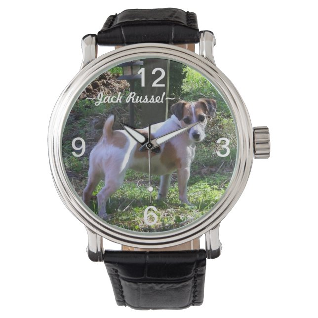 Jack Russel Dog Watch Horloge (Voorkant)