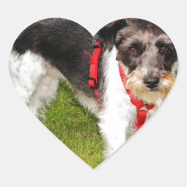 jack russel doodsbang hart sticker