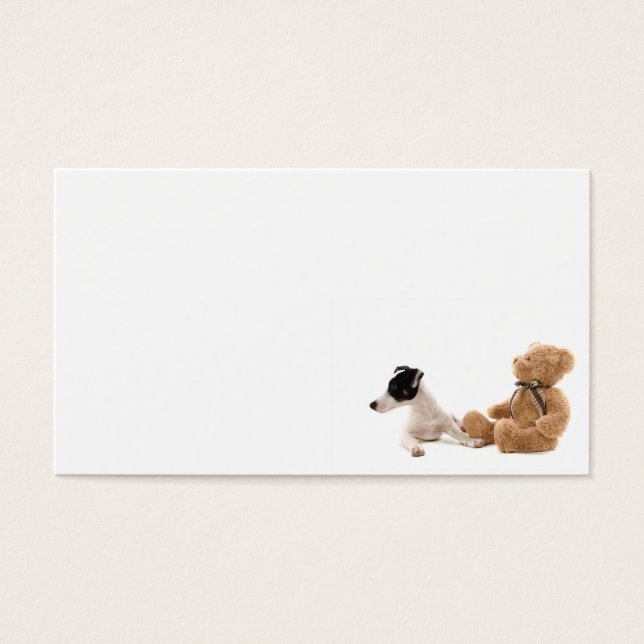 jack russel et son jouet (Devant)