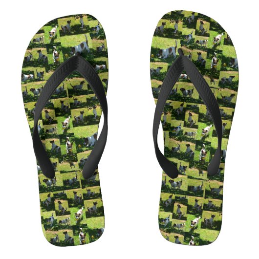 Jack Russel Photo Collage Teenslippers (Voetbed)