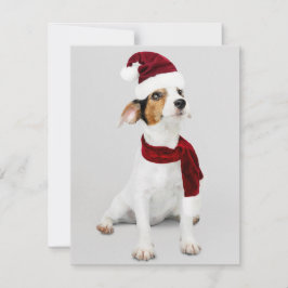 Jack Russel Puppy met Kerstman Hoed Feestdagenkaart