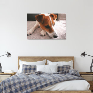 Jack Russel Terier Canvas Afdruk
